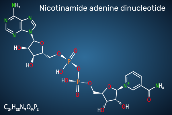 Telomere là những đoạn DNA nằm ở đầu của mỗi nhiễm sắc thể, có chức năng bảo vệ DNA trong quá trình tế bào chia
