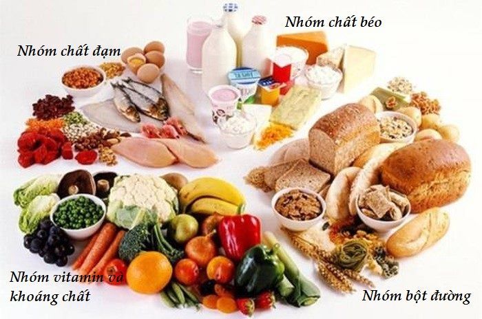 Cho con ăn đủ 4 nhóm chất chính