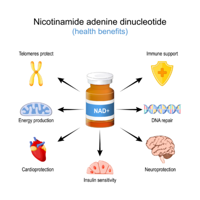 NAD+ hay Nicotinamide Adenine Dinucleotide, là một coenzyme quan trọng có mặt trong tất cả các tế bào sống
