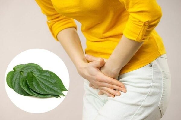Chọn lọc các sản phẩm vệ sinh vùng kín
