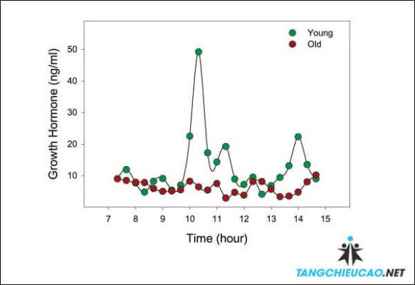 hormone tăng trưởng và chiều cao
