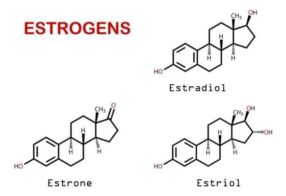 Hormone sinh dục - Vũ khí bí mật chống lão hóa