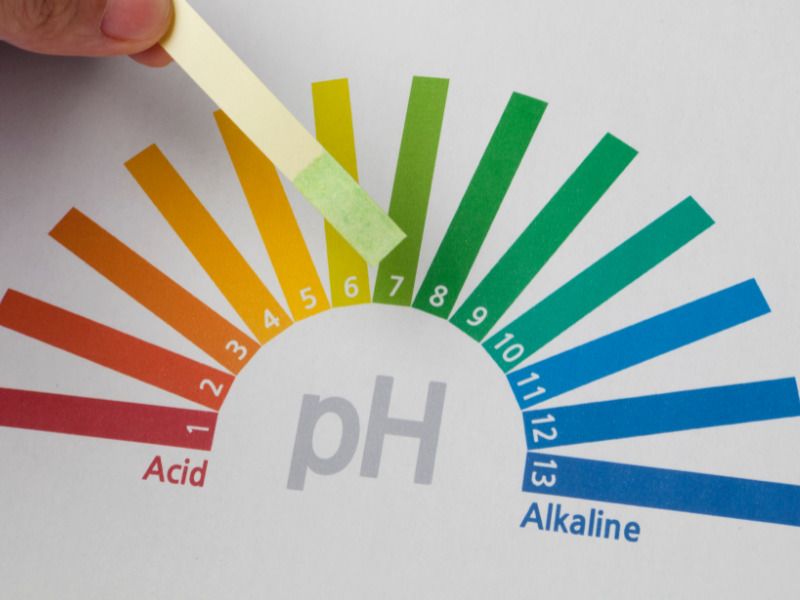 Kem thoa cần có khả năng cân bằng độ PH