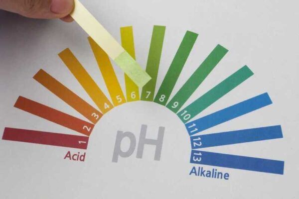 mất cân bằng độ ph vùng kín