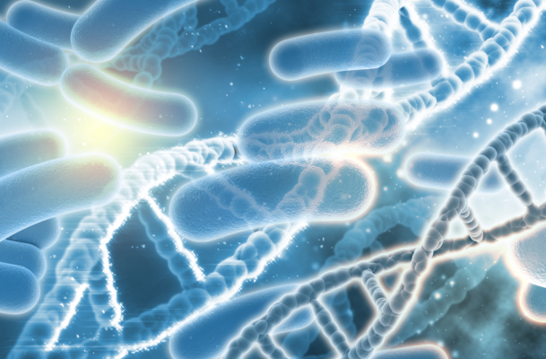 Nấm Candida là gì?