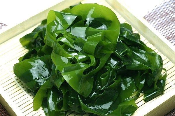 Omega 3 từ tảo biển