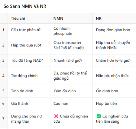 so sánh chuyên sâu giữa NMN và NR