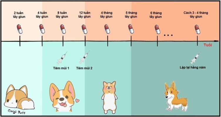 tẩy giun cho chó mèo định kì