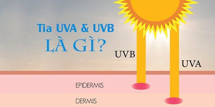 tia UVA và UVB