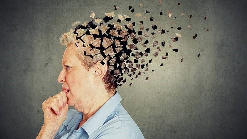 cây bạch quả hỗ trợ điều trị suy giảm trí nhớ nhẹ và sa sút trí tuệ