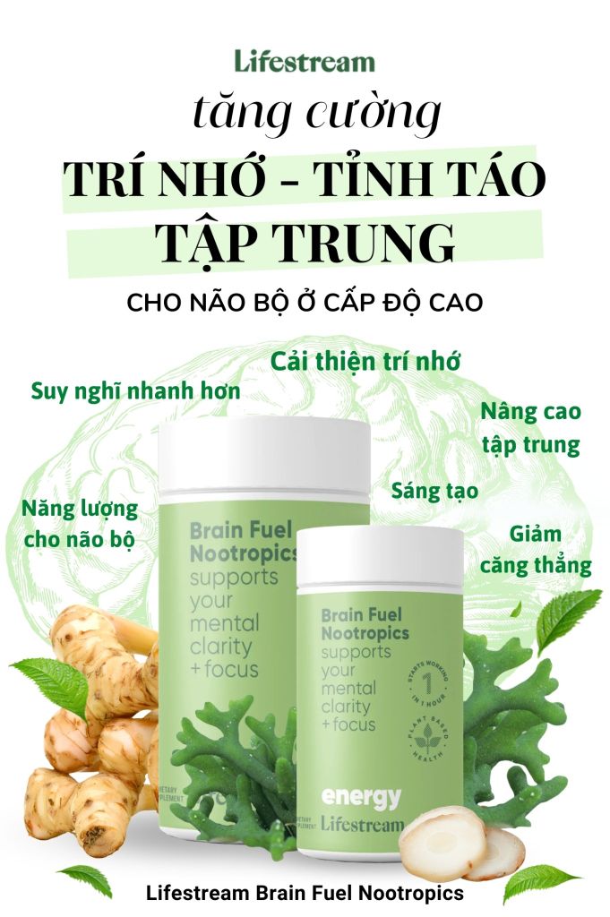 Viên uống tăng cường tập trung, tỉnh táo và năng lượng Lifestream Brain Fuel Nootropics