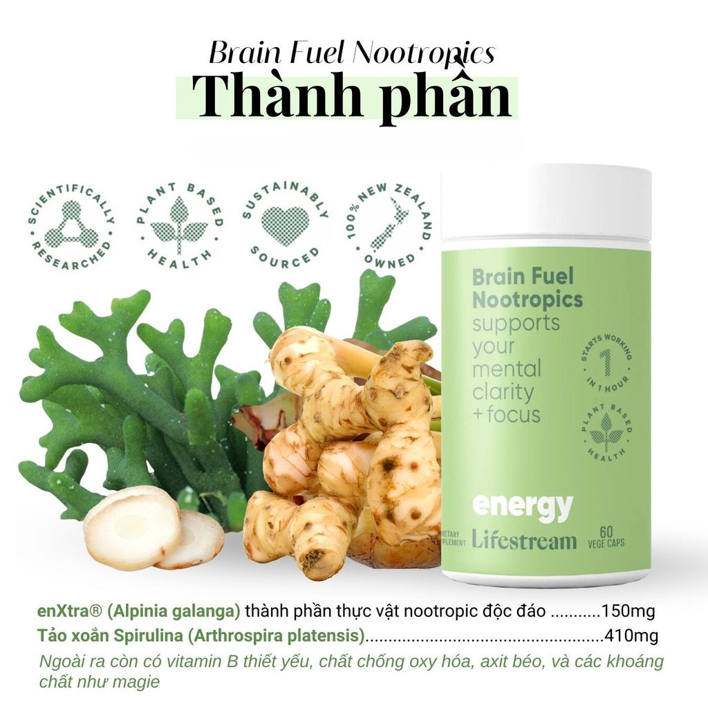 Viên uống tăng cường tập trung, tỉnh táo và năng lượng Lifestream Brain Fuel Nootropics