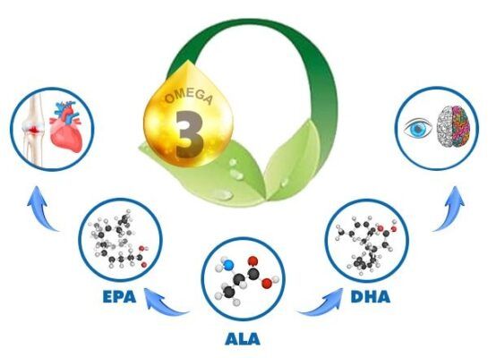 Vegan Omega 3