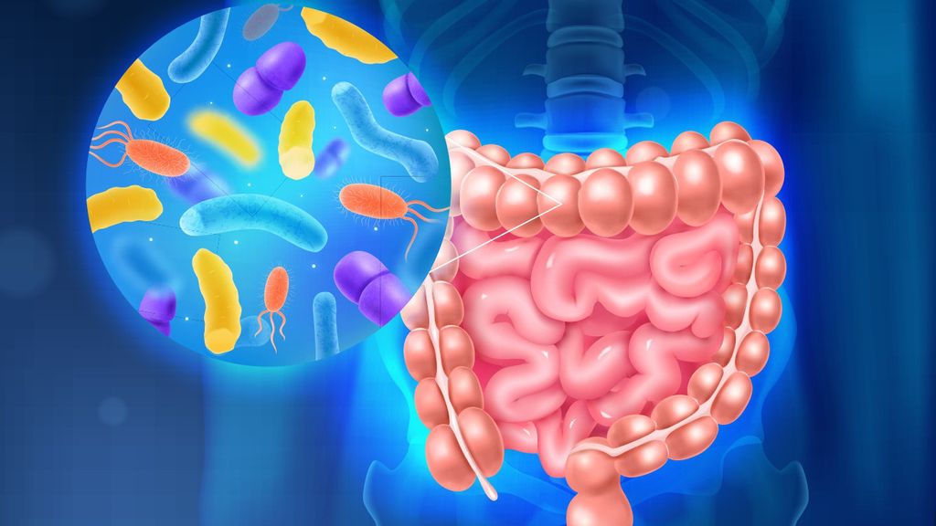 Khi mua TPCN nên chọn dạng bào chế phù hợp