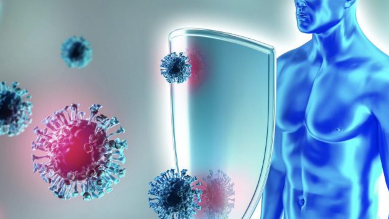 KẼM TĂNG CƯỜNG MIỄN DỊCH NHƯ THẾ NÀO? GIẢI PHÁP CHO NGƯỜI ĐỀ KHÁNG YẾU, SỐNG Ở ĐÔ THỊ Ô NHIỄM