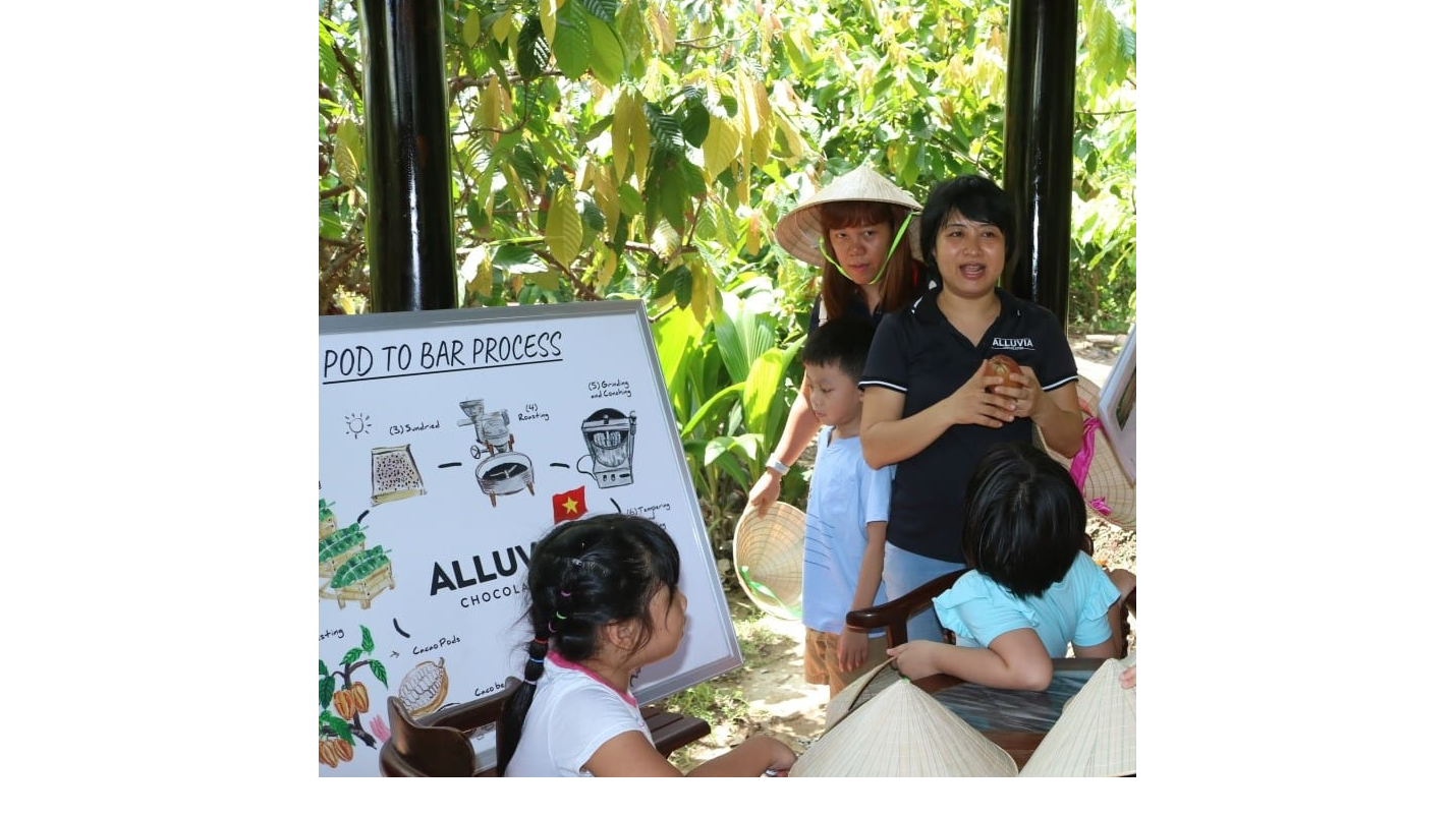 Vườn Ca Cao Chợ Gạo, Tiền Giang Và Những Vẻ Đẹp Đang Đợi Bạn Khám Phá