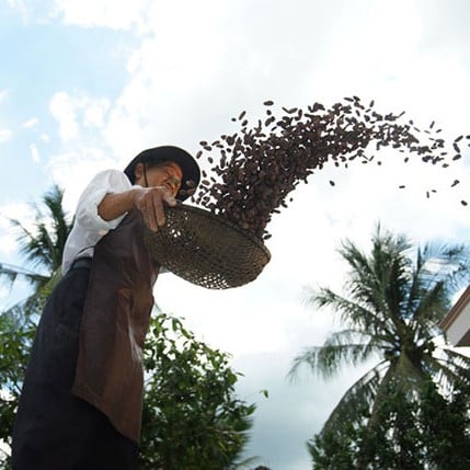 Bean to bar Chocolate sản phẩm sạch từ vùng thổ nhưỡng sông Mekong