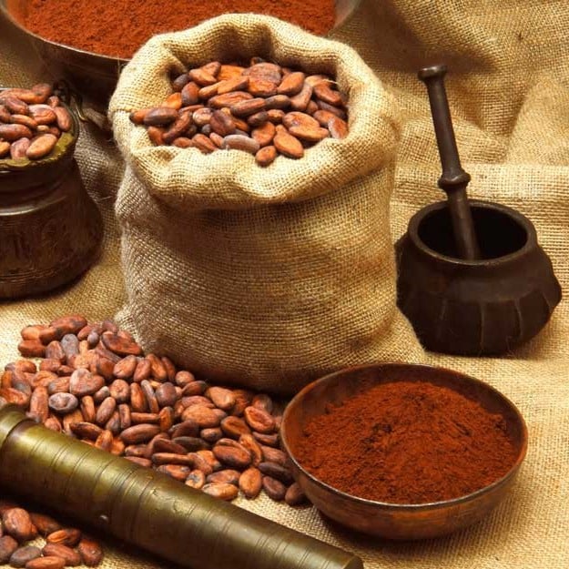 Lợi ích và tác dụng của cacao mà bạn không thể bỏ qua