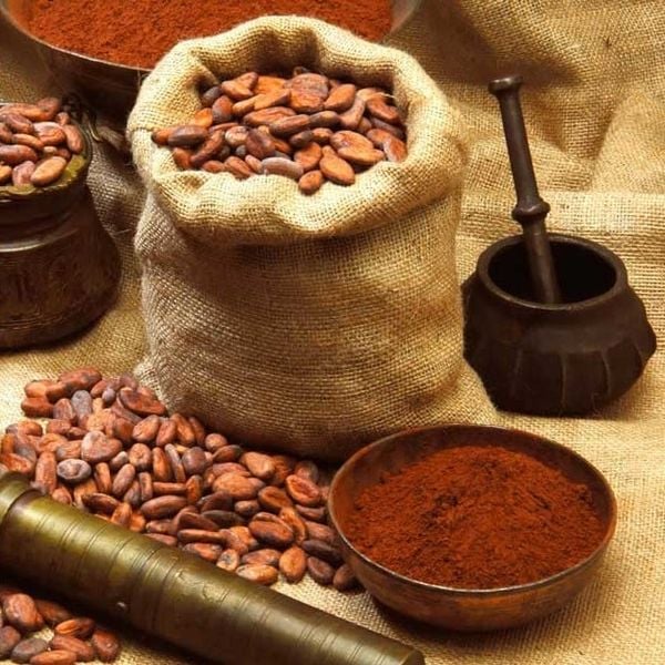 Lợi ích và tác dụng của cacao mà bạn không thể bỏ qua