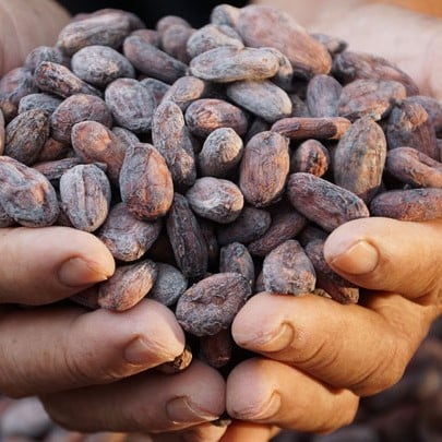 Xu hướng bean to bar chocolate