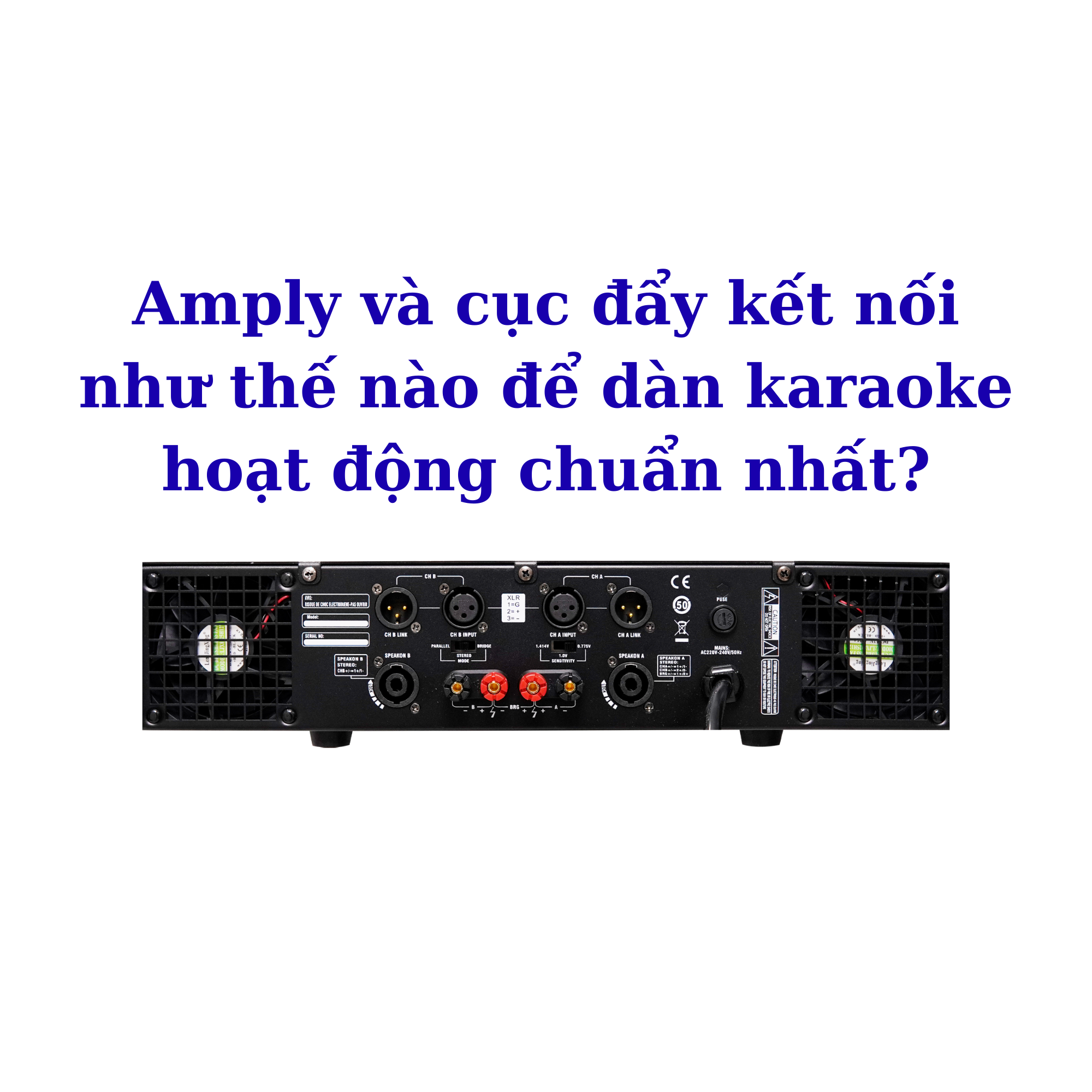 Amply với cục đẩy kết nối ở đâu và kết nối ra sao? – Giải đáp chi tiết cho người mới chơi âm thanh