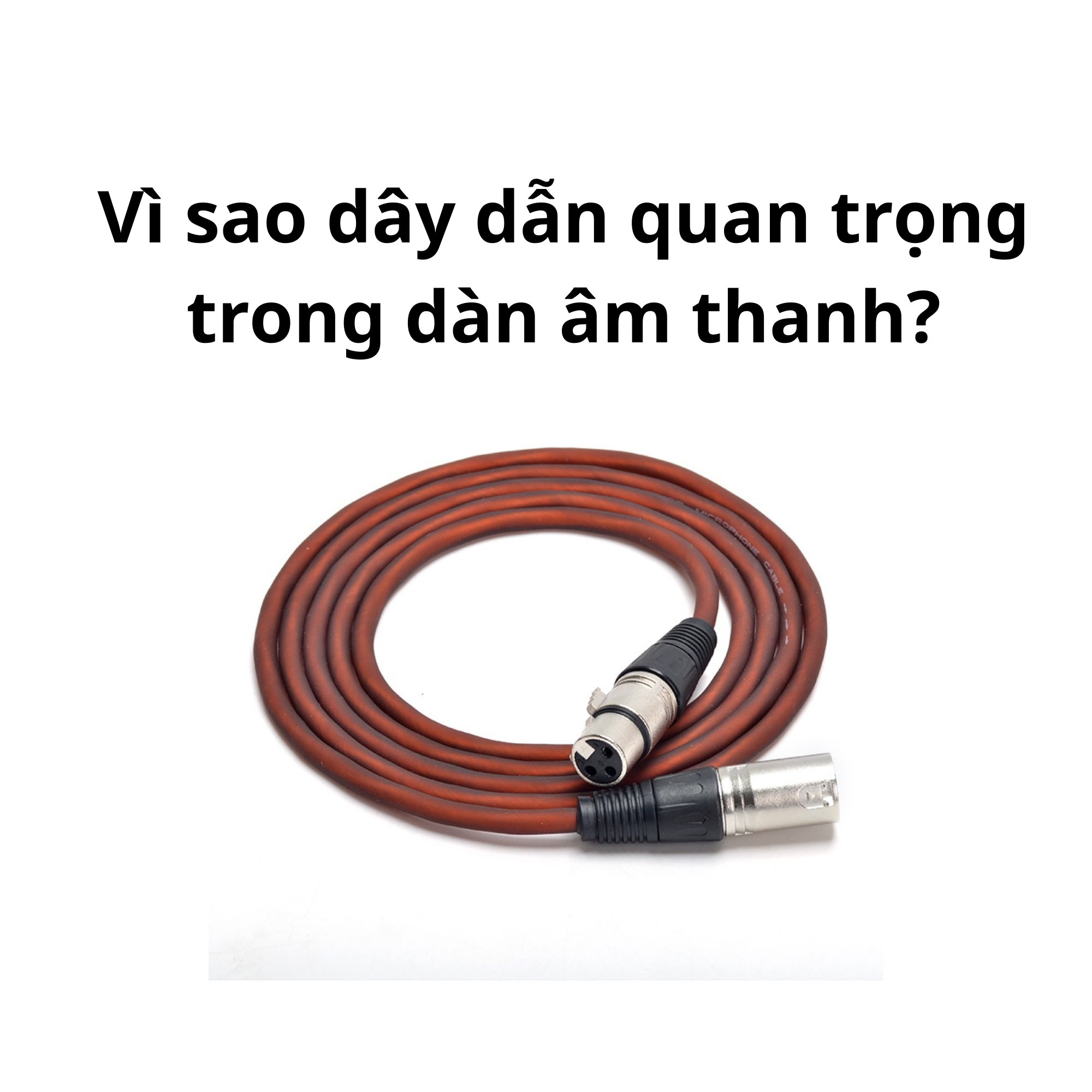 Dây loa, dây Canon, dây quang: chọn & đi dây đúng để tiếng sạch