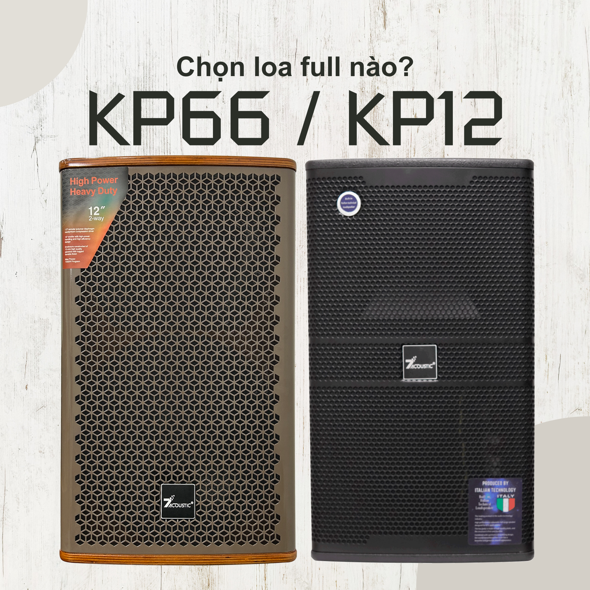 Phân Biệt Loa Full KP12 và KP66 – Nên Chọn Loa Nào?