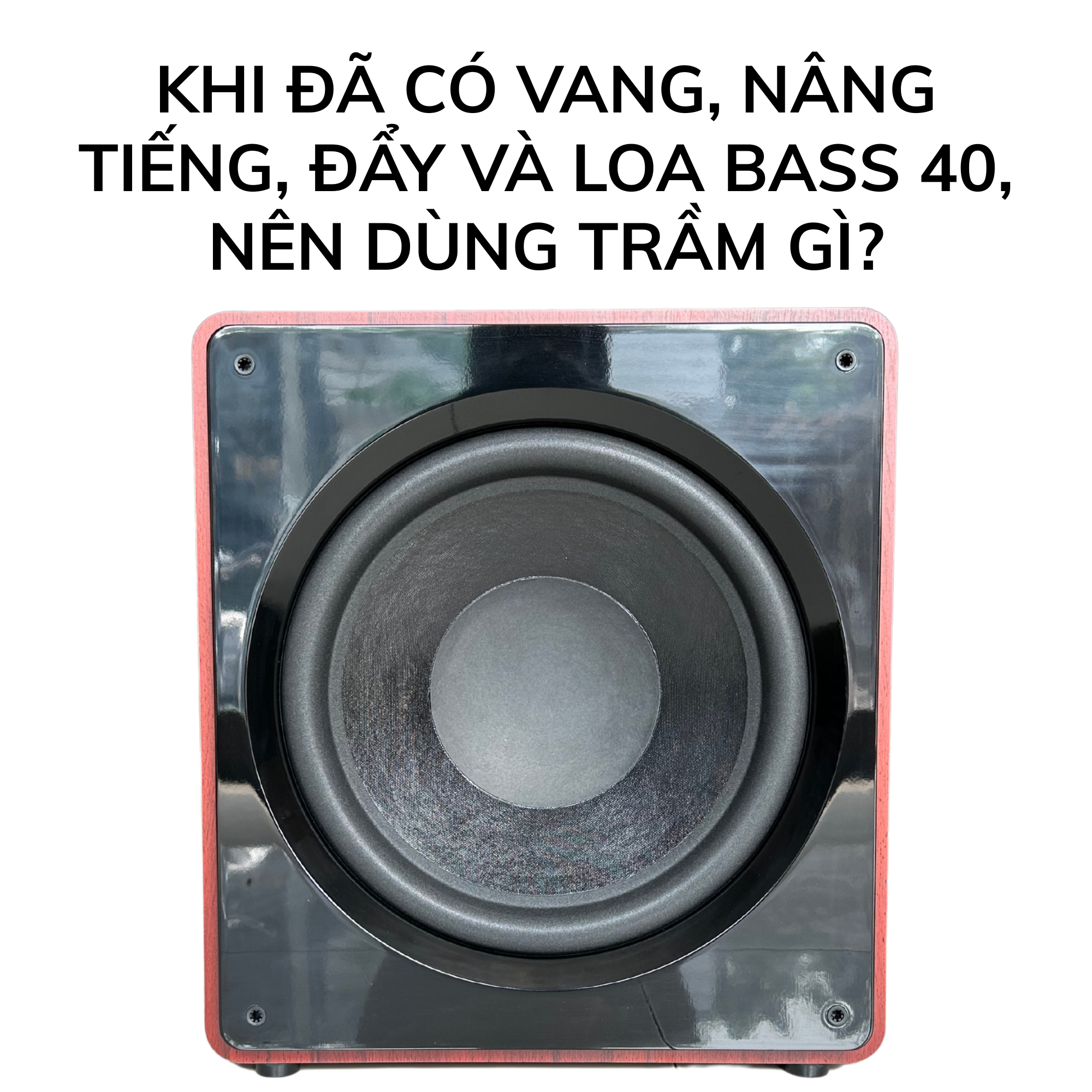 Khi Đã Có Vang, Nâng Tiếng, Đẩy và Loa Bass 40, Nên Dùng Trầm Gì?