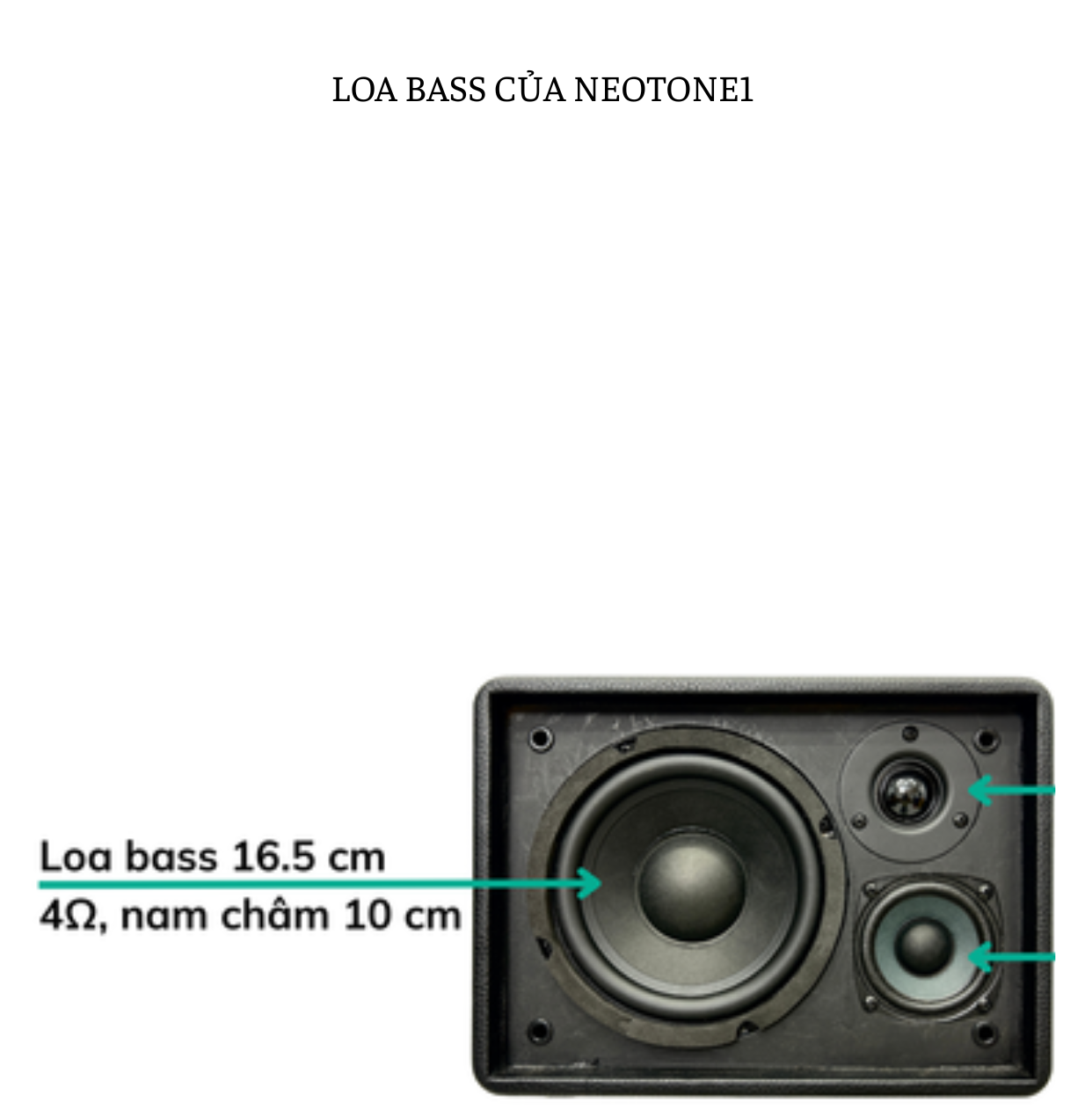 Bạn có tò mò liệu loa bass neotone1 như nào? sao nghe lại hay đến vậy