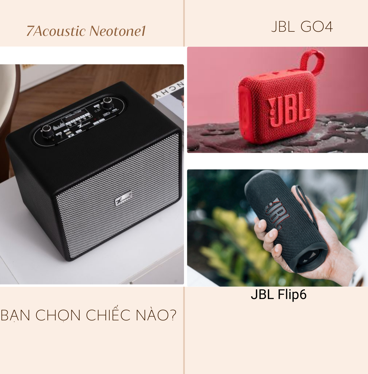 Nếu bạn được chọn 1 chiếc loa nghe nhạc thì bạn chọn?