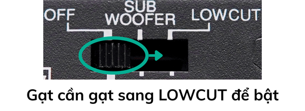 7Acoustic T800 LOWCUT