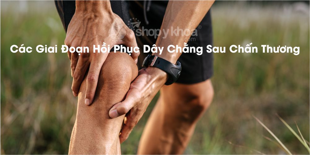 Các Giai Đoạn Hồi Phục Dây Chằng Sau Chấn Thương: Bí Quyết Hồi Phục Hiệu Quả