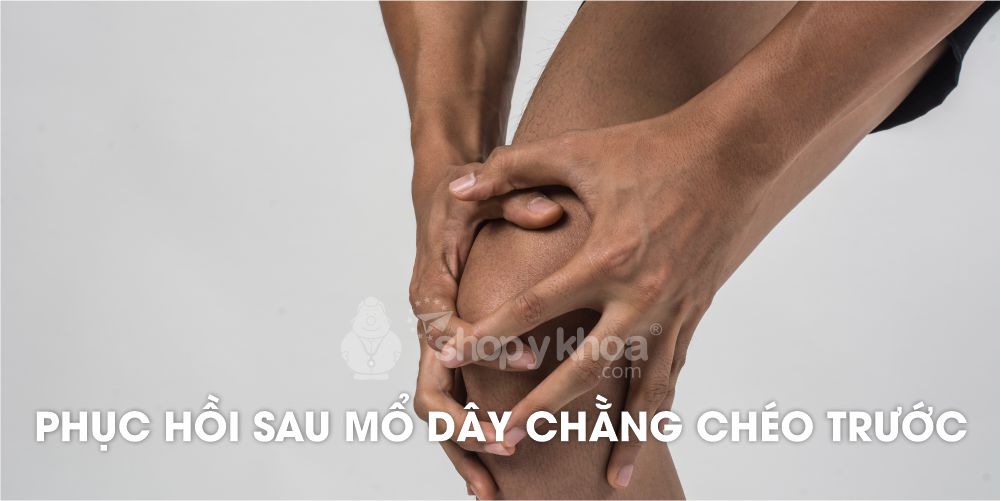 Hướng dẫn tập phục hồi sau mổ dây chằng chéo trước đúng cách