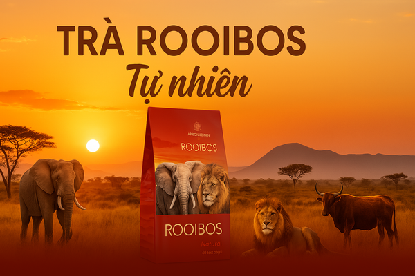 Hồng trà rooibos là gì? Hiểu đúng về hồng trà túi lọc rooibos Nam Phi.