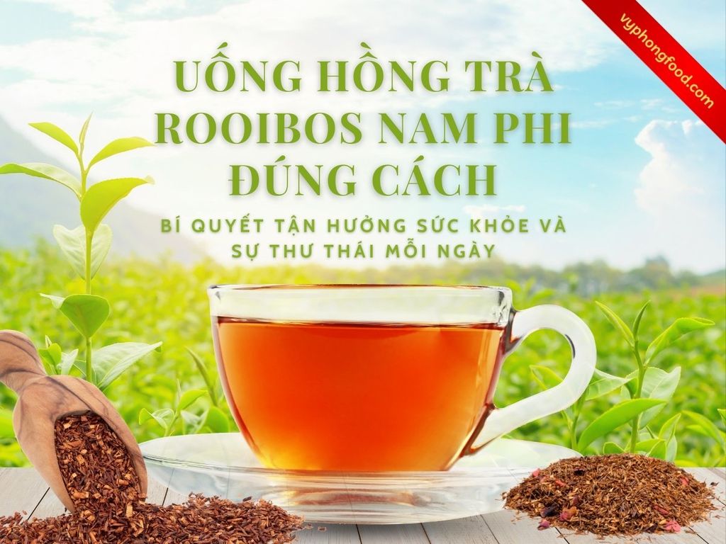 Uống hồng trà rooibos Nam Phi đúng cách – Bí quyết tận hưởng sức khỏe và sự thư thái mỗi ngày.