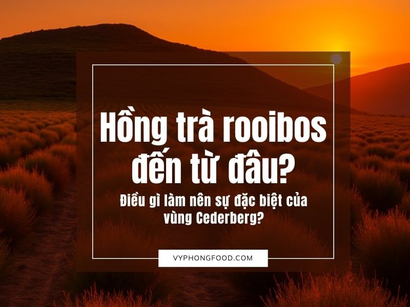 Hồng trà rooibos đến từ đâu? Điều gì làm nên sự đặc biệt của vùng Cederberg?