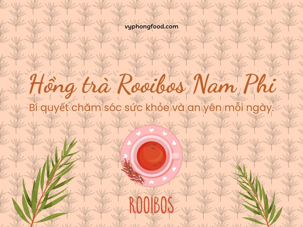 Hồng trà Rooibos Nam Phi – Bí quyết chăm sóc sức khỏe và an yên mỗi ngày.