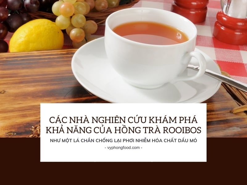Các nhà nghiên cứu khám phá khả năng của hồng trà rooibos như một lá chắn chống lại phơi nhiễm hóa chất dầu mỏ.