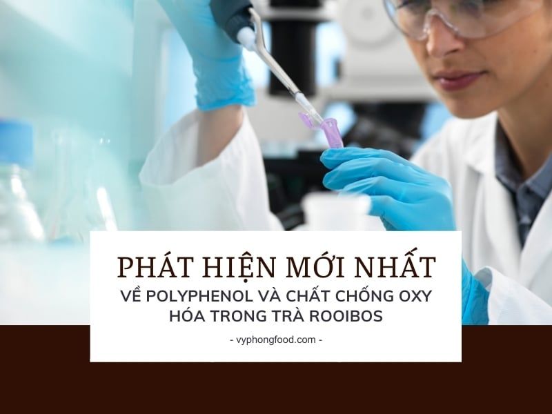 Phát hiện mới nhất về polyphenol và chất chống oxy hóa trong trà rooibos.