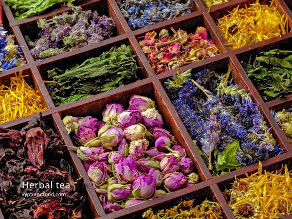 công dụng của trà thảo mộc - benefits of herbal tea - vyphongfood.com