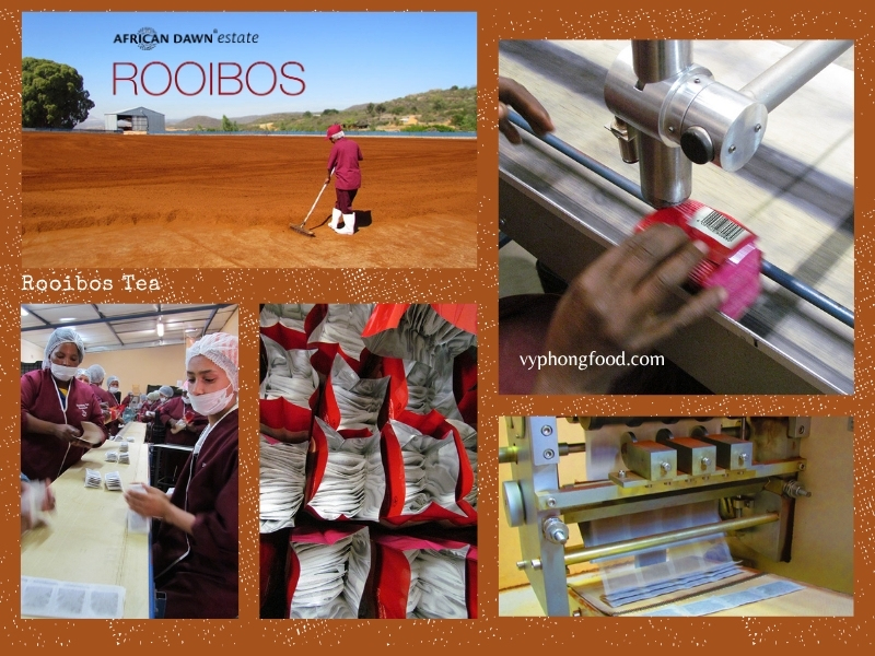 Can South African rooibos tea replace your morning coffee? vyphongfood.com is the official importer of African Dawn brand rooibos tea from South Africa.