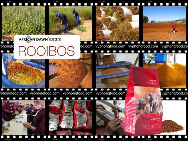 Hướng Dẫn Pha Hồng Trà Rooibos Hoàn Hảo Từ Góc Nhìn Của Một Chuyên Gia Hóa Học vyphongfood.com