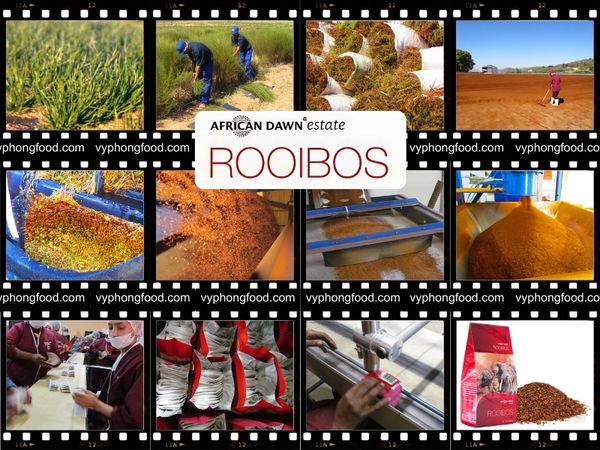 trà rooibos Nam Phi Bí quyết chăm sóc sức khỏe cho phụ nữ hiện đại