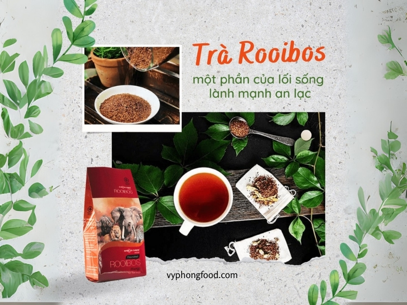 Tại sao nhiều doanh nghiệp hiện đại đang âm thầm thay cà phê bằng … một loại trà thảo mộc Nam Phi? hồng trà rooibos nam phi là một loại trà thảo mộc nổi tiếng ở nam phi vyphongfood.com