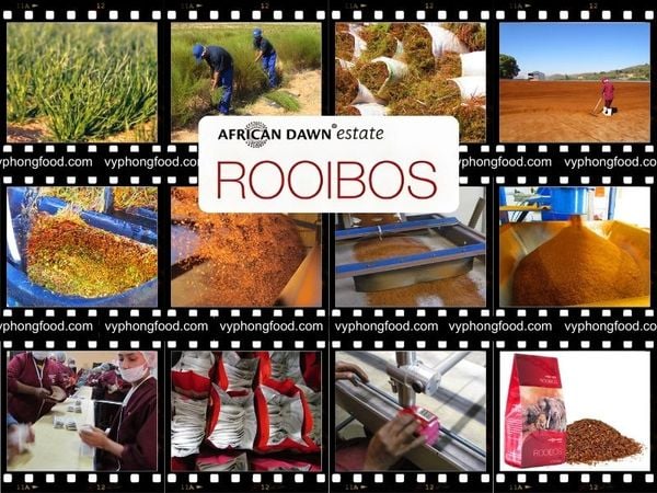 Trà Rooibos Nam Phi Thương Hiệu African Dawn Bí Mật Sức Khỏe Từ Thiên Nhiên