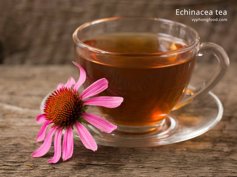 Trà Echinacea