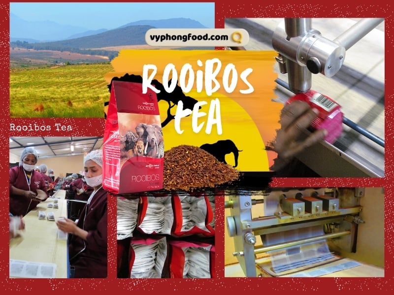 Uống hồng trà rooibos có giúp giảm căng thẳng và thư giãn tinh thần không? Sản phẩm hiện đã có mặt tại vyphongfood.com – đơn vị tiên phong nhập khẩu chính ngạch hồng trà rooibos African Dawn về Việt Nam.