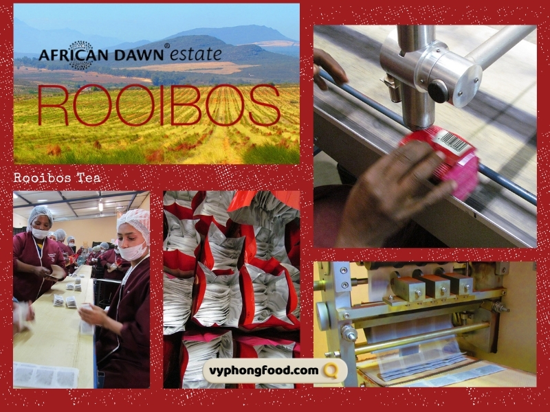 Tại sao người cao tuổi lại nên uống hồng trà rooibos Nam Phi mỗi ngày vyphongfood.com là đơn vị nhập khẩu chính ngạch hồng trà thảo mộc rooibos tea thương hiệu African Dawn từ Nam Phi