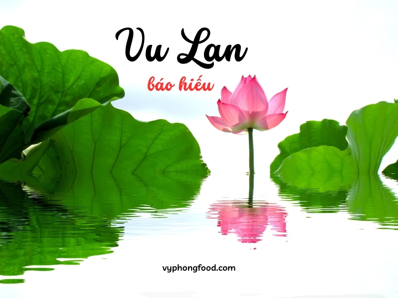 Choose Greenmax nutritious cereal porridge as a gift for your parents this Vu Lan Festival.