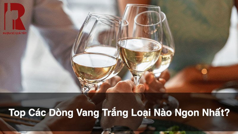 Top Các Dòng Vang Trắng Loại Nào Ngon Nhất?